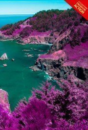 pink-nature-photoshop-acrtion
